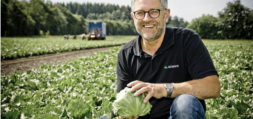 Fra forsøg med kinakål til et af Danmarks førende frilandsgartnerier