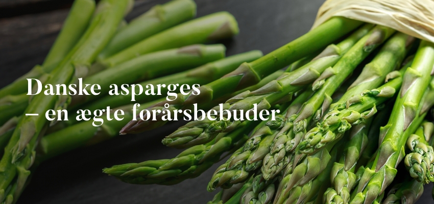 Danske asparges – en ægte forårsbebuder