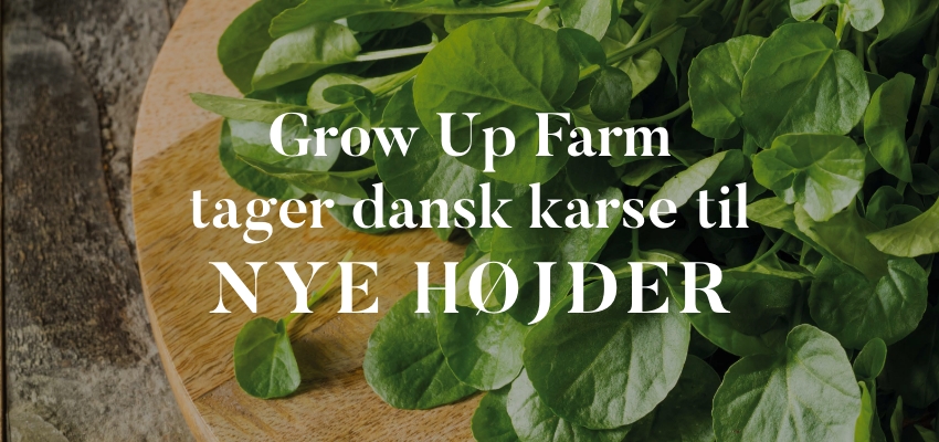 Grow Up Farm tager dansk karse til nye højder