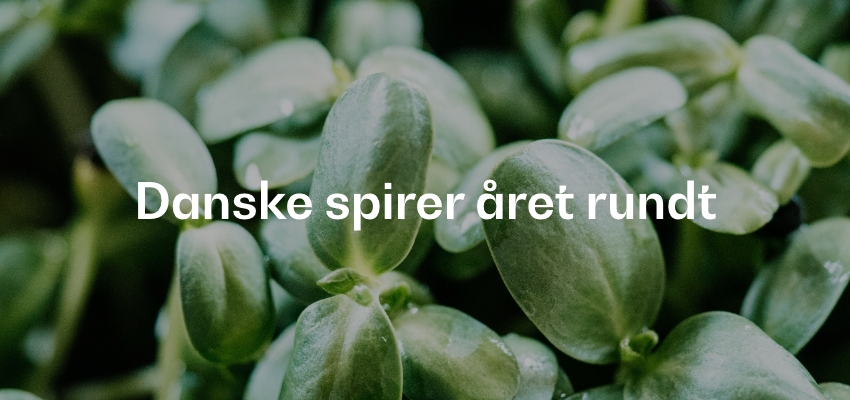 Danske spirer året rundt